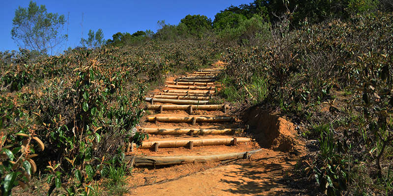 Cachoeira da Feticeira