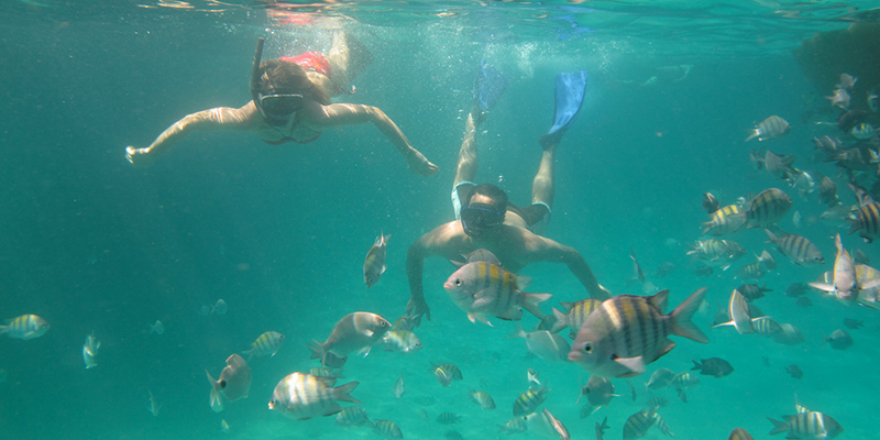 Ilha Grande