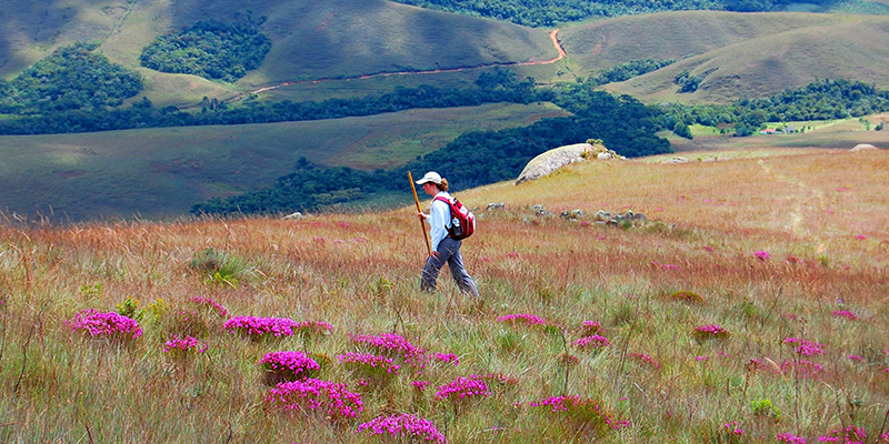 Parque Nacional Serra da Bocaina