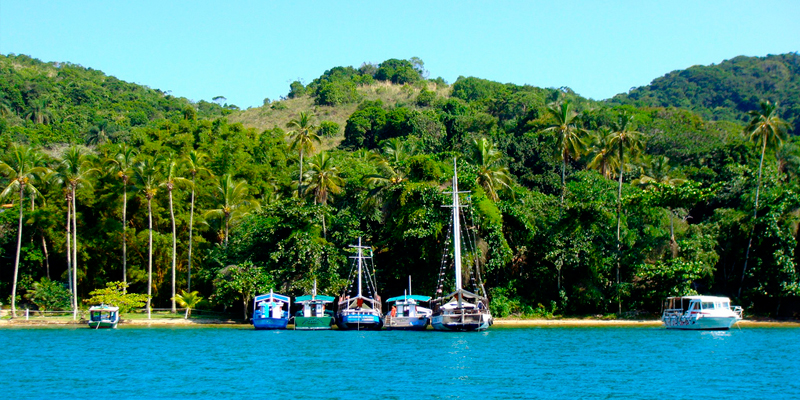 Ensenadas de Ilha Grande - Palmas