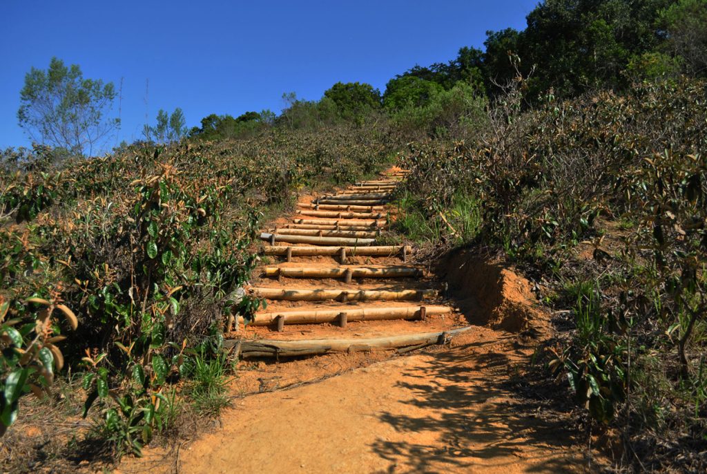 Trilhas Ilha Grande