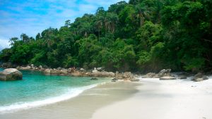 Ilha Gipoia - Praia do Dentista