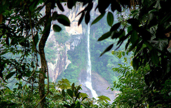 Parque Nacional Serra da Bocaina