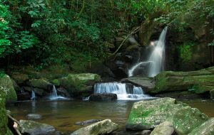 Parque Cunhambebe