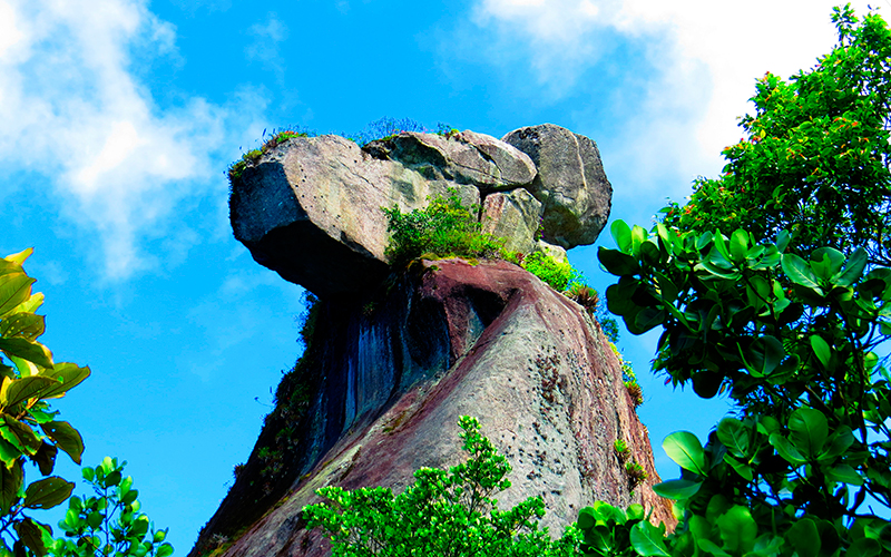 Pico do Papagaio