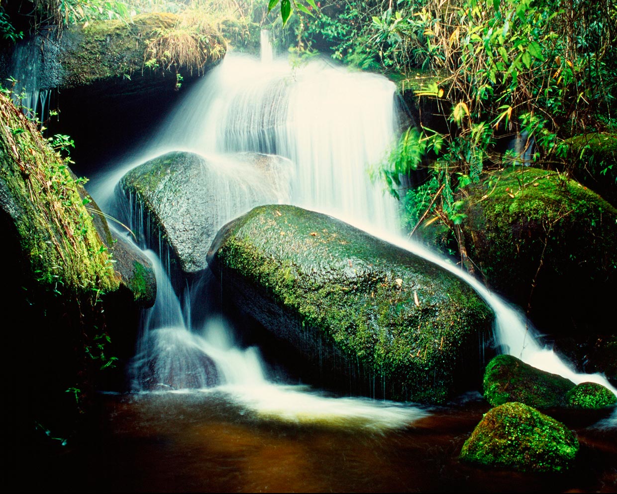 Serra da Bocaina